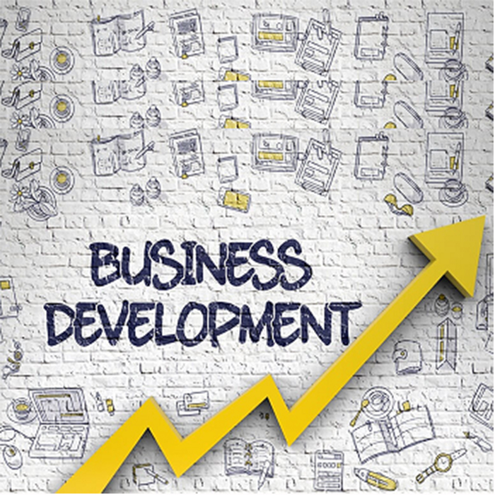 Leading BDSPs Trainer, Facilitator and Coach