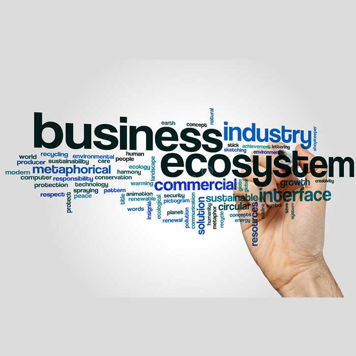 Ecosystem Analysis and Developer